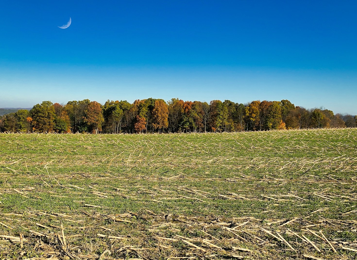 Empowering Small-Town Voices in Ohio