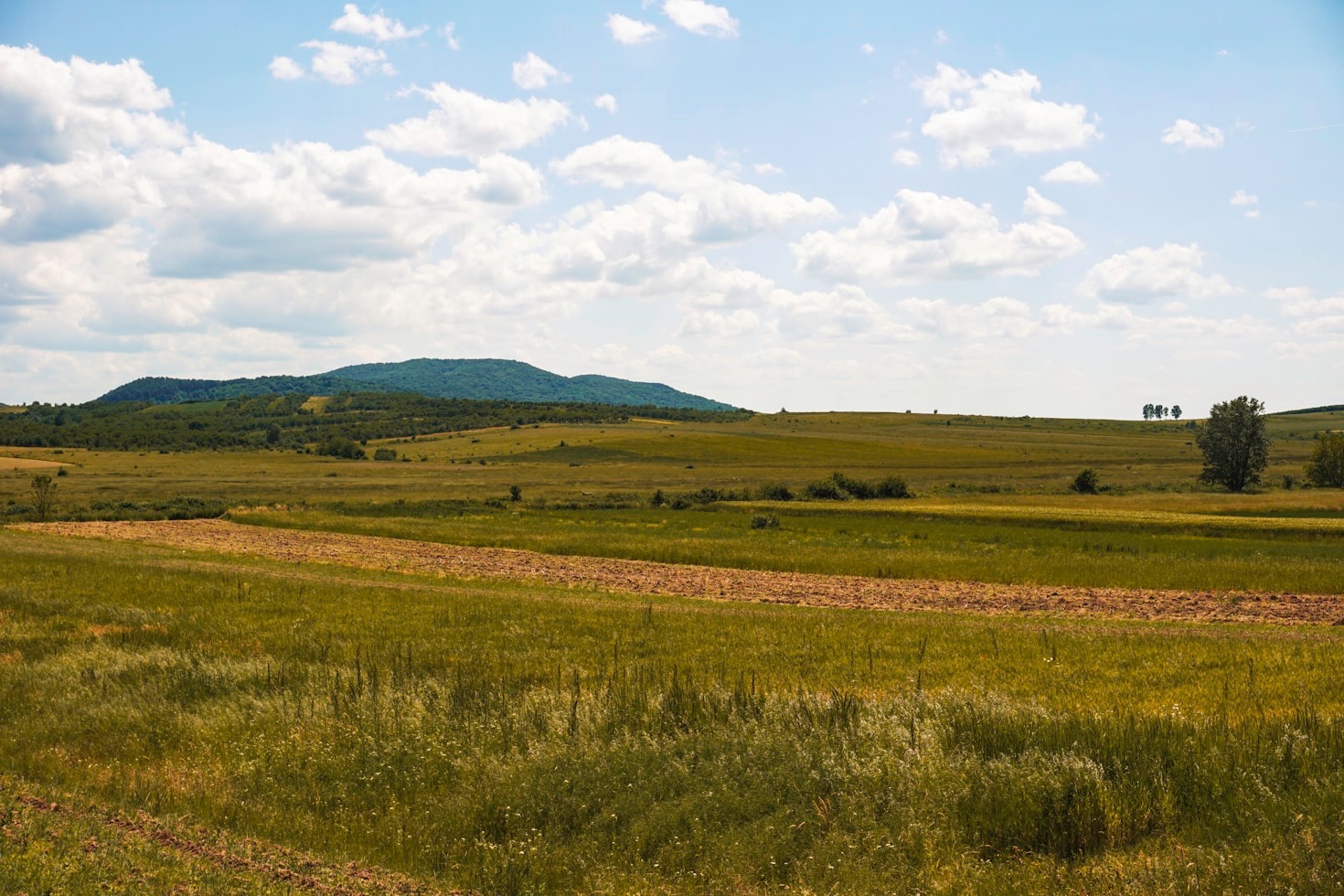 Top Issues Impacting Rural Ohio Communities