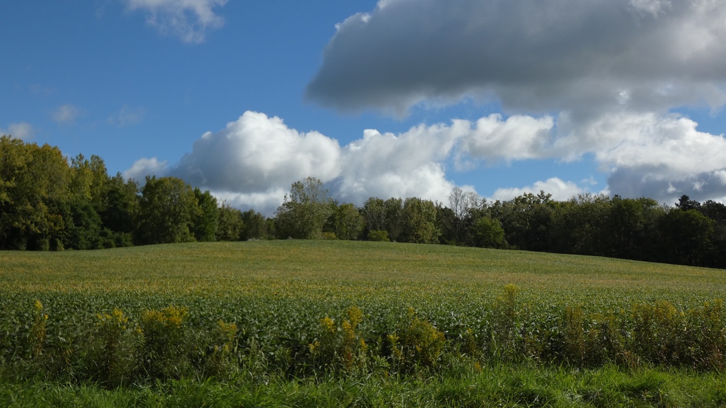 What Makes St. Albans Township Unique